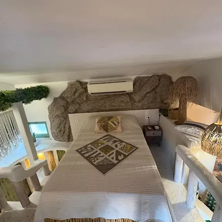 Flores Gardan Art Tchernomorets